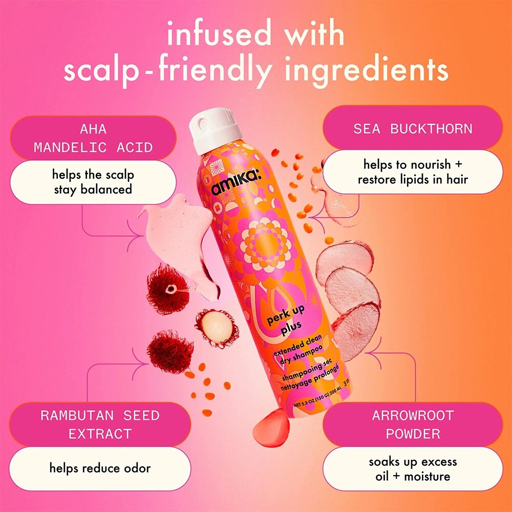 Amika Perk Up Plus Dry Shampoo 150g